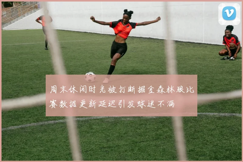 周末休闲时光被打断掘金森林狼比赛数据更新延迟引发球迷不满